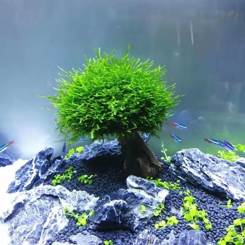 Fish Tank Plant Moss Tree Decorations
