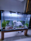 The Cat's Meow Aquarium