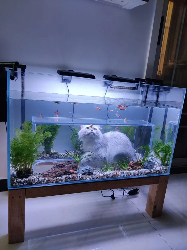 The Cat's Meow Aquarium