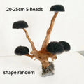 Fish Tank Plant Moss Tree Decorations
