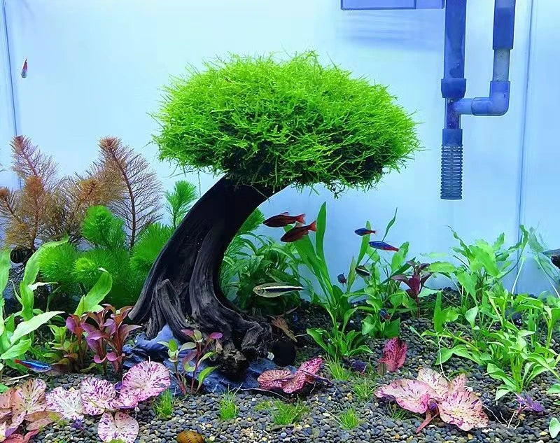 Fish Tank Plant Moss Tree Decorations