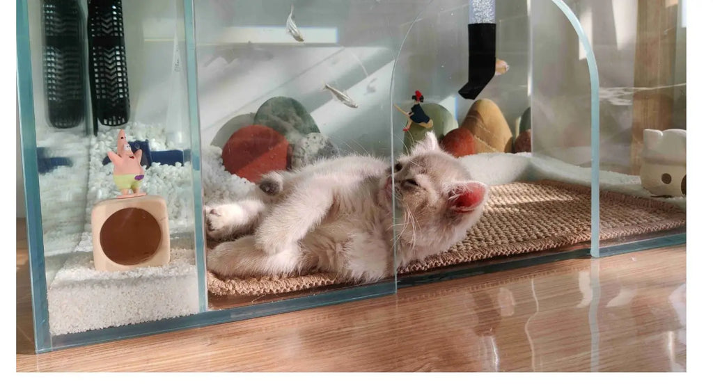 Kitty's Aquarium Delight