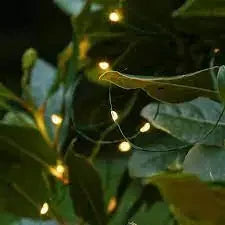 Fairy String Light Waterproof Firefly Lamp Remote Decoration For Christmas Halloween Bedroom Wedding