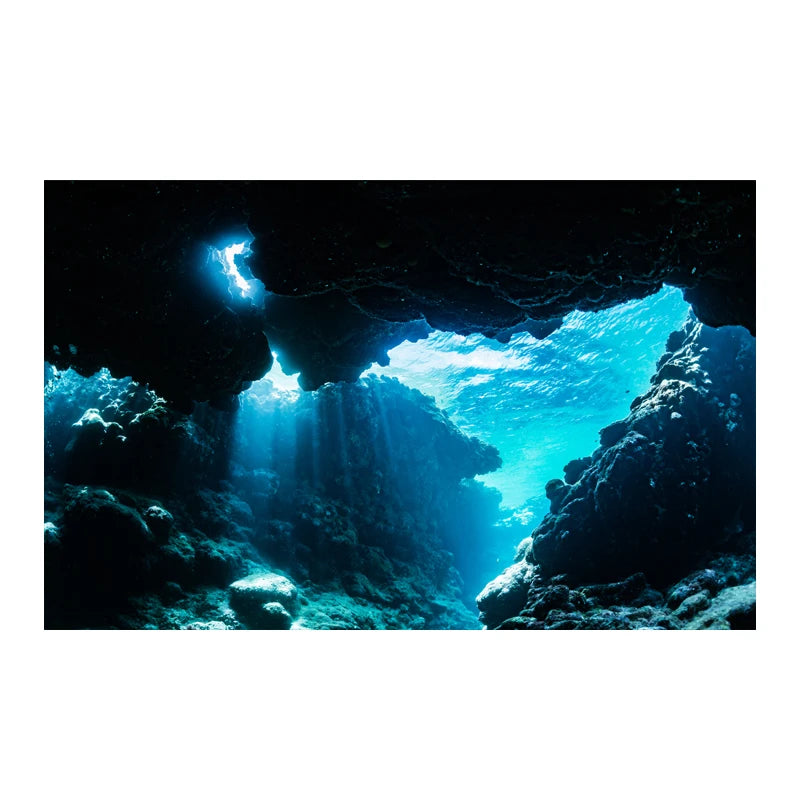 Aquarium Background Sticker