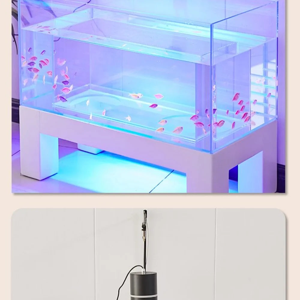 Cat’s Enchanted Aquarium