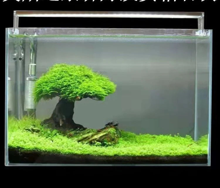 Fish Tank Plant Moss Tree Decorations