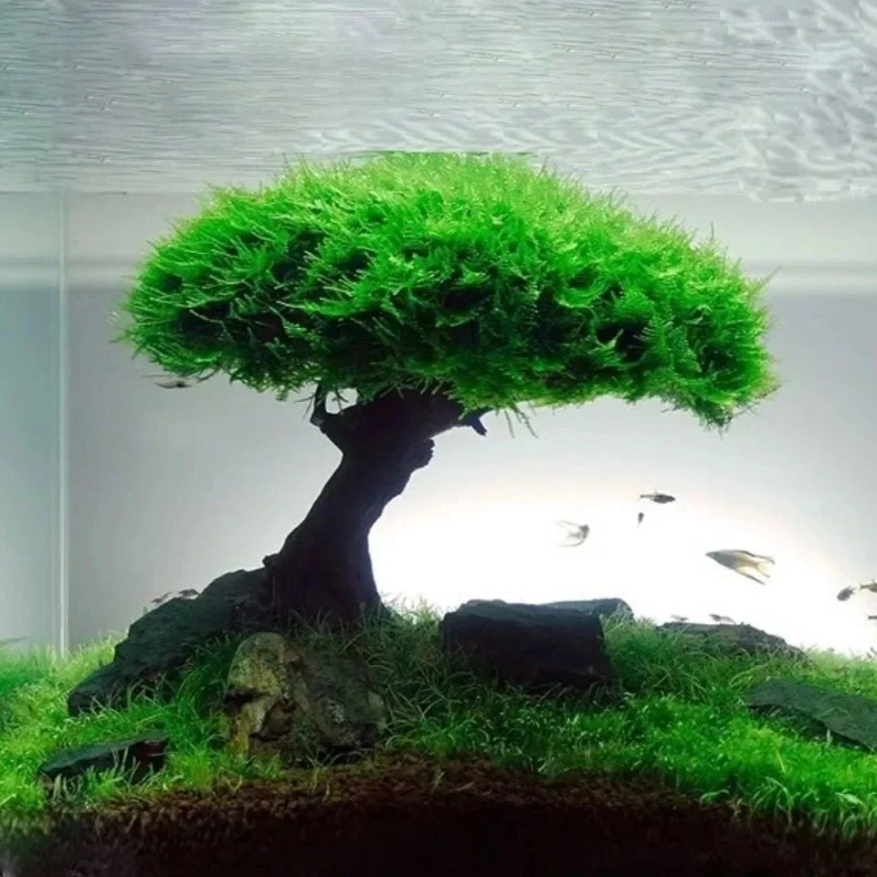 Fish Tank Plant Moss Tree Decorations