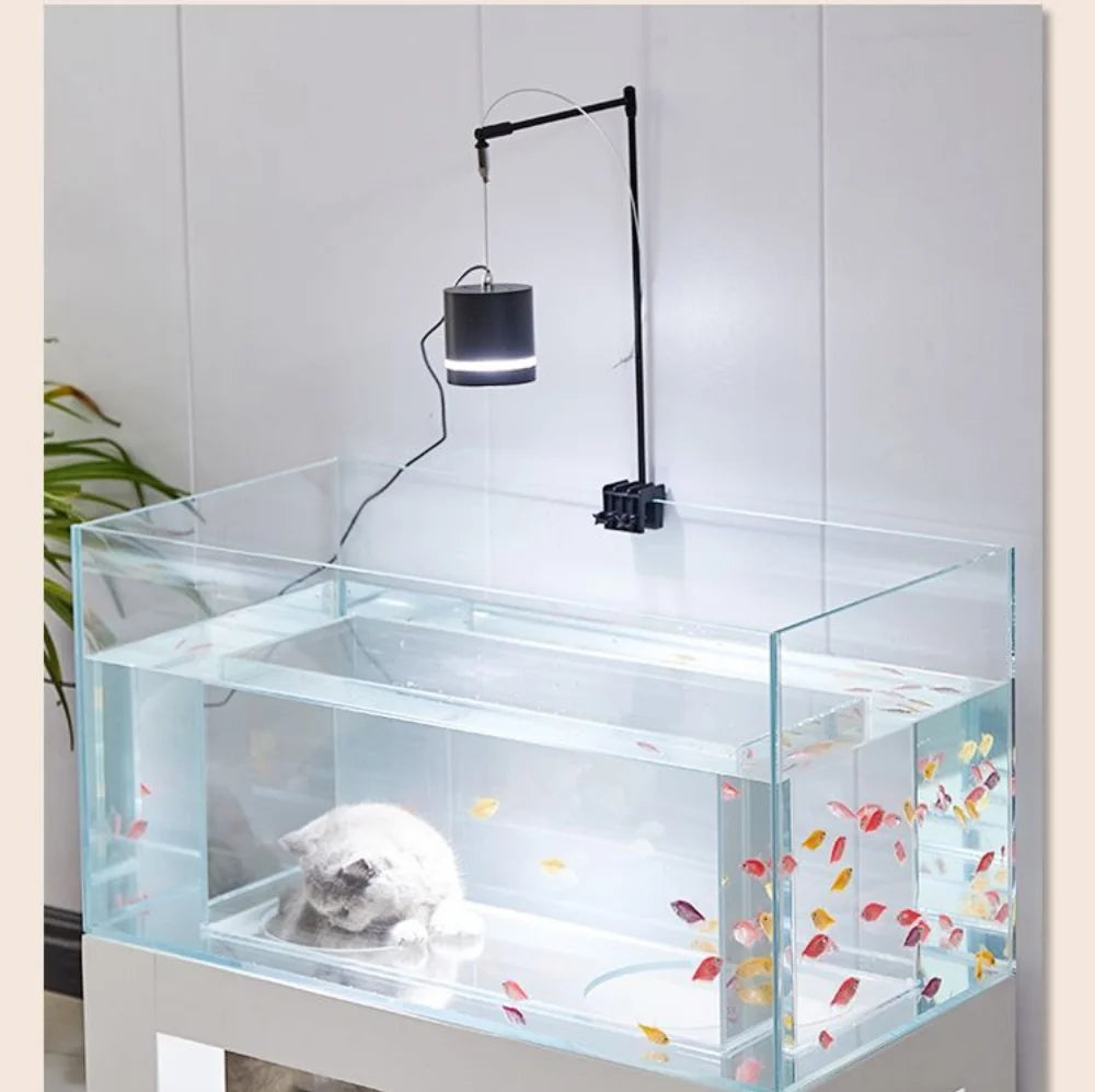 Cat’s Enchanted Aquarium