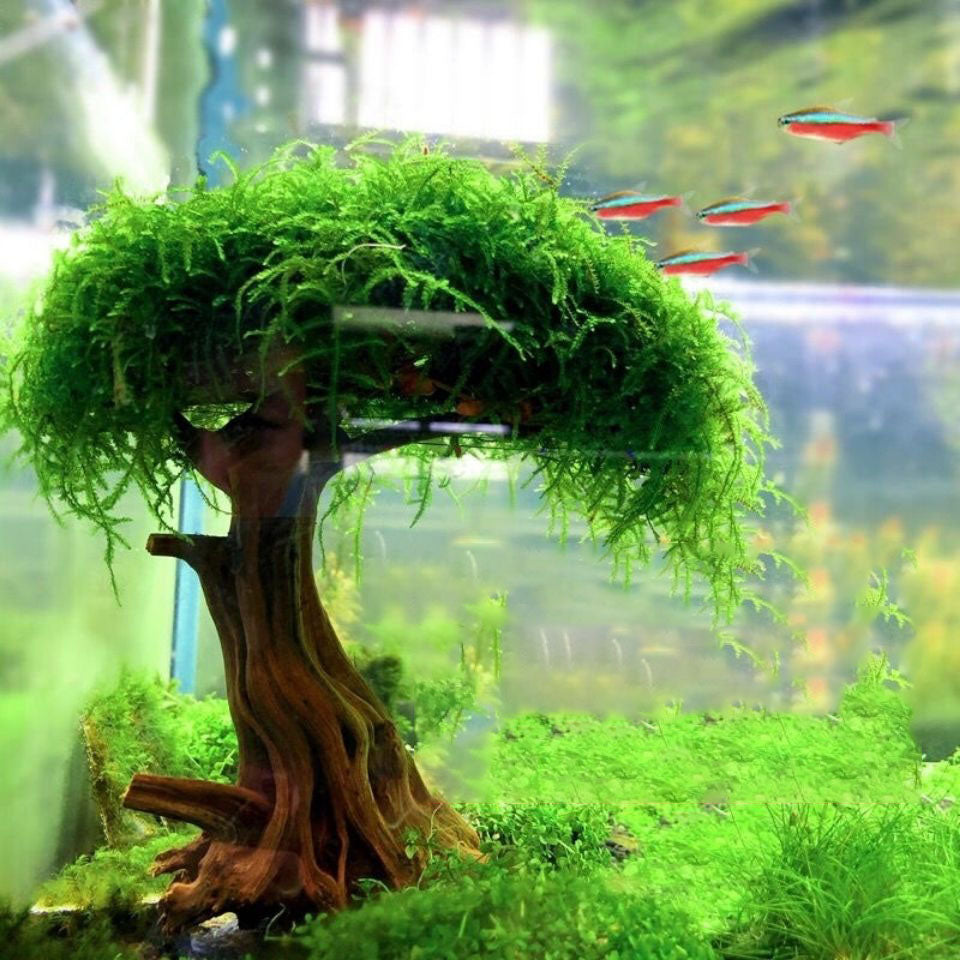 Fish Tank Plant Moss Tree Decorations