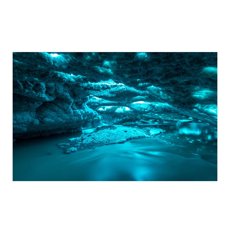 Aquarium Background Sticker