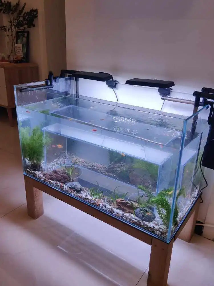 The Cat's Meow Aquarium