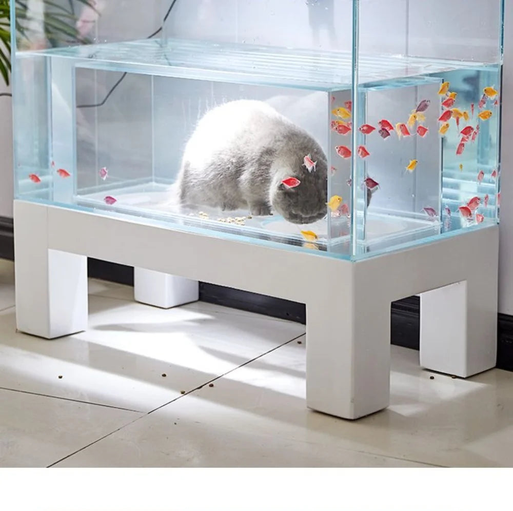 Cat’s Enchanted Aquarium