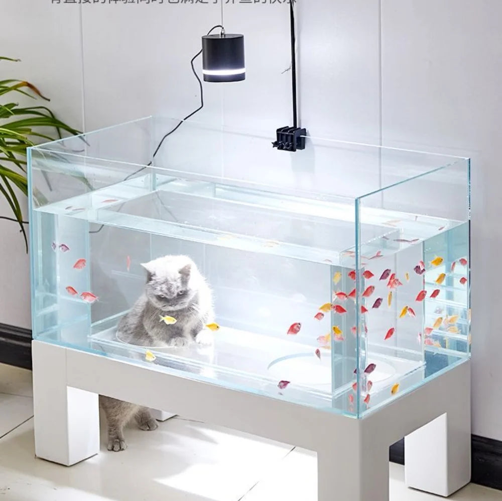 Cat’s Enchanted Aquarium