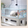 Cat’s Enchanted Aquarium