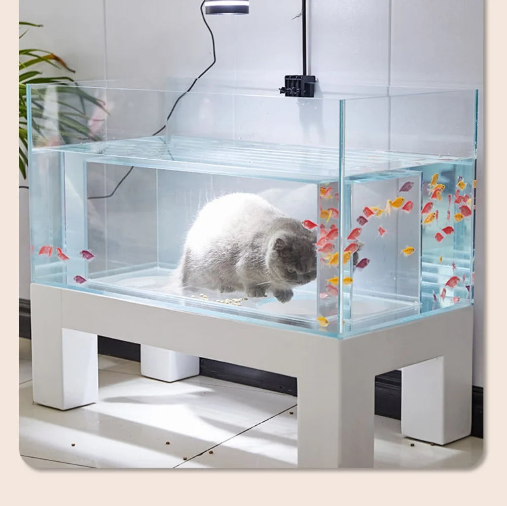 Cat’s Enchanted Aquarium
