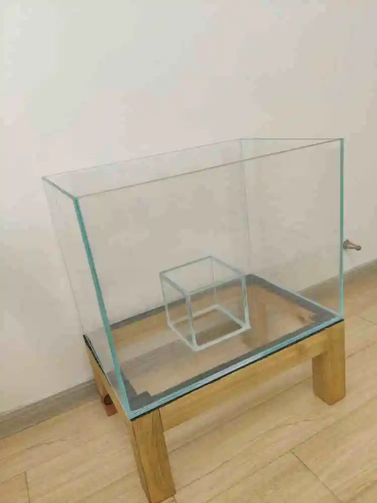 The Cat's Meow Aquarium