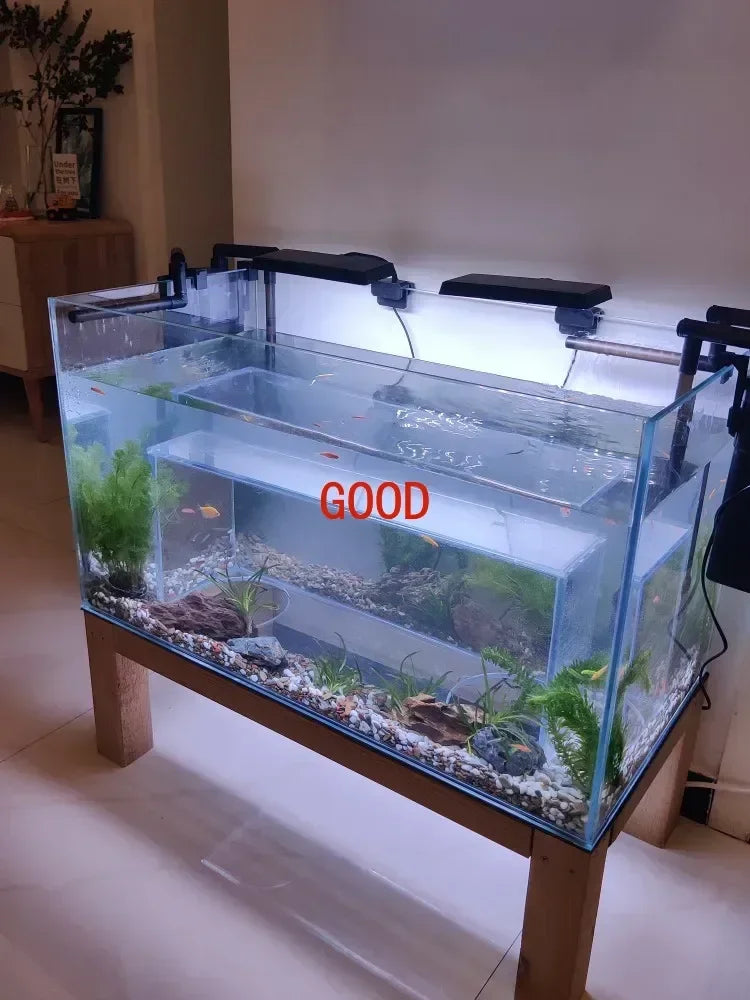 The Ultimate KING SIZE  Kitty Fish-Gazing Tank