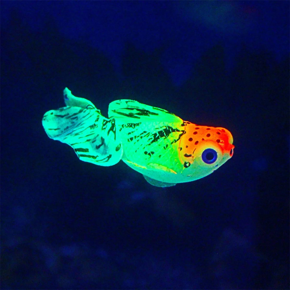 ILLUMINATING Goldfish Fake Fish Ornament
