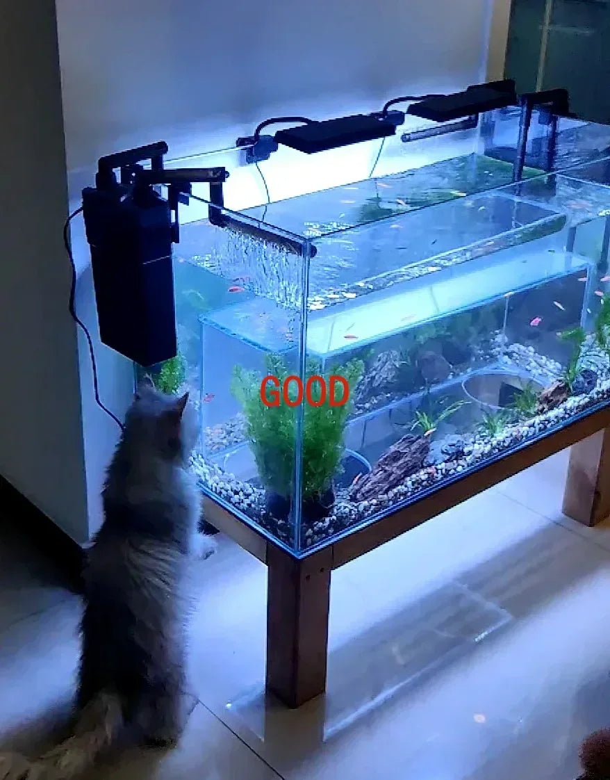 The Ultimate KING SIZE  Kitty Fish-Gazing Tank