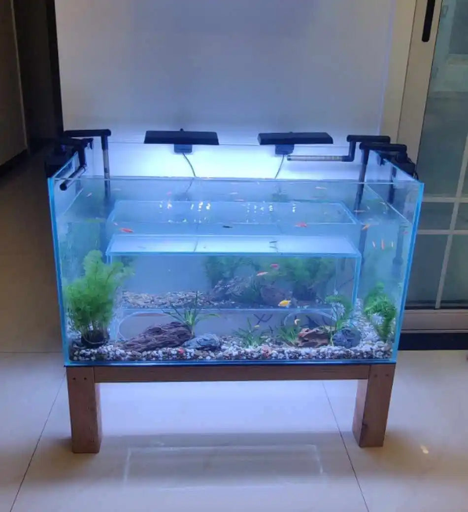 The Cat's Meow Aquarium